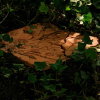 Pédagogie 2008
